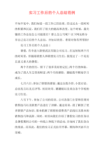 实习工作后的个人总结范例