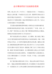 会计事务所实习总结报告范例