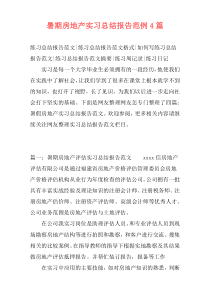 暑期房地产实习总结报告范例4篇