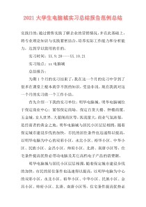 2021大学生电脑城实习总结报告范例总结