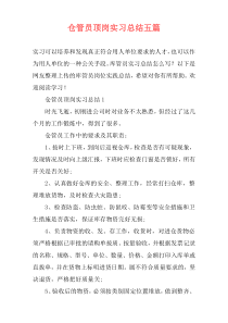 仓管员顶岗实习总结五篇