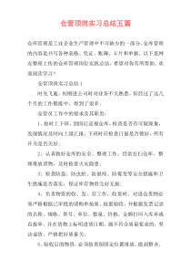 仓管顶岗实习总结五篇