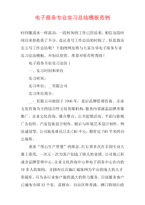 电子商务专业实习总结模板范例