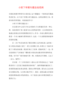 小班下学期专题总结范例