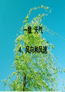 2016年四年级科学上册 1.4 风向和风速课件2 教科版