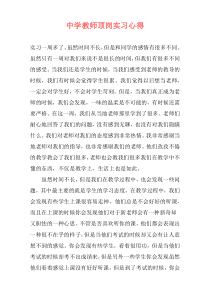 中学教师顶岗实习心得