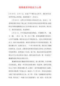 特殊教育学校实习心得