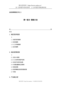 策略计划-16页