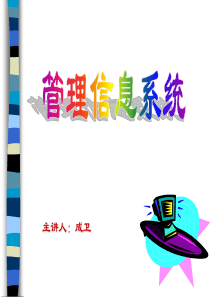 管理信息系统的战略规划与开发方法