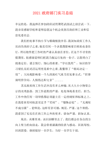 2021政府部门实习总结