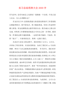 实习总结范例大全2000字