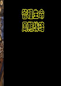 管理生命周期战略 