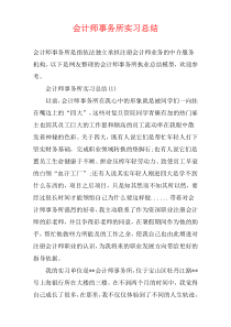 会计师事务所实习总结