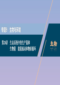 （浙江选考）2021版新高考生物一轮复习 专题9 生物与环境 第28讲 生态系统中的生产量和生物量 