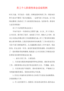 员工个人阶段性体会总结范例
