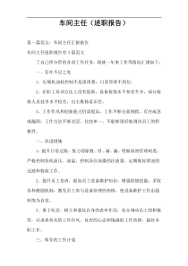 车间主任（述职报告）
