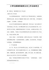 小学生新接班级班主任工作总结范文
