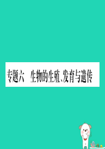 （玉林专版）2019年中考生物总复习 第2部分 知能综合突破 专题6 生物的生殖 发育与遗传课件