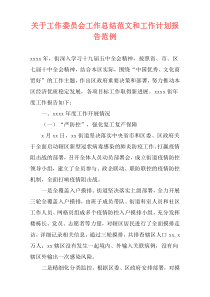 关于工作委员会工作总结范文和工作计划报告范例