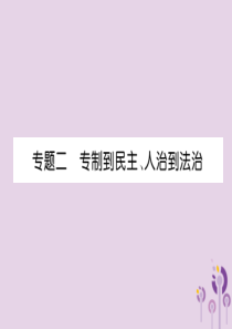 （宜宾专版）2019届中考历史总复习 第2编 热点专题速查 专题2 专制到民主、人治到法治课件