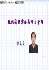 组织战略实施与项目管理