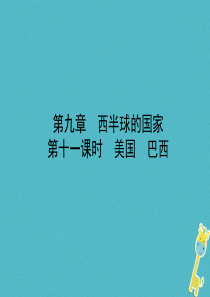 （烟台专版）2018届中考地理总复习 六下 第九章 第十一课时美国 巴西课件