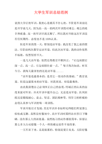 大学生军训总结范例
