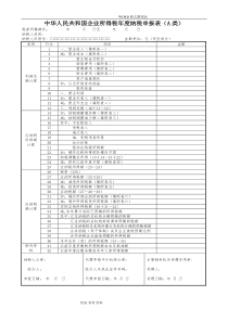 企业所得税年度申报表
