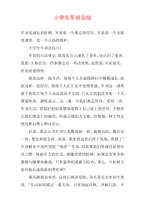 小学生军训总结