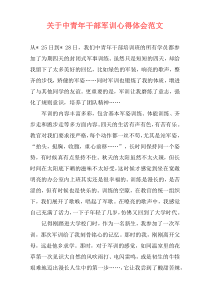 关于中青年干部军训心得体会范文