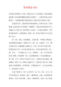军训体会2021