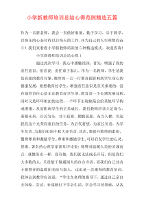 小学新教师培训总结心得范例精选五篇