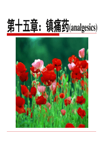 药理学PPT课件-镇痛药