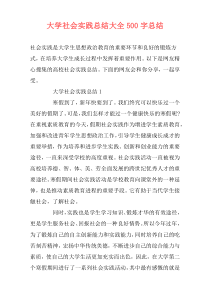 大学社会实践总结大全500字总结