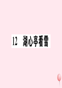 （孝感专版）2019秋九年级语文上册 第三单元 12 湖心亭看雪习题课件 新人教版