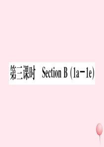 （武汉专版）2019秋九年级英语全册 Unit 6 When was it invented第三课时