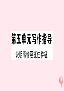 （武汉专版）2019秋八年级语文上册 第五单元 写作指导《说明事物要抓住特征》习题课件 新人教版