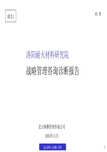 耐盐院组织战略管理咨询诊断报告
