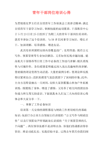 青年干部岗位培训心得