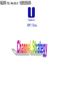 联合利华渠道战略