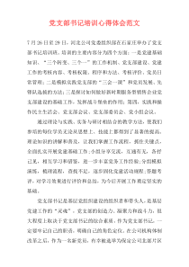 党支部书记培训心得体会范文