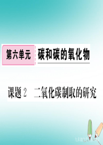 （通用）2018秋九年级化学上册 第六单元 碳和碳的氧化物 课题2 二氧化碳制取的研究习题课件 （新
