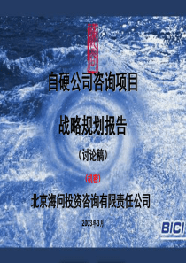 自硬公司战略报告合并0307