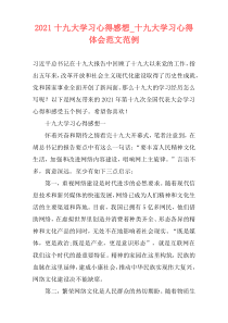 2021十九大学习心得感想_十九大学习心得体会范文范例