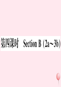 （山西专版）2019秋八年级英语上册 Unit 7 Will people have robots第
