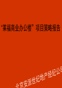 莱福商业办公楼项目策略TN