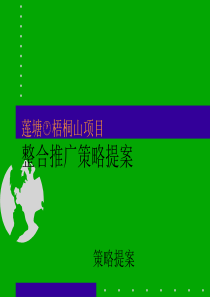 莲塘XX项目整合推广策略提案