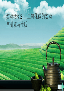 （全国通用版）2018-2019学年九年级化学上册 第六单元 碳和碳的氧化物 实验活动2 二氧化碳的