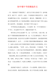 初中端午节的精选作文