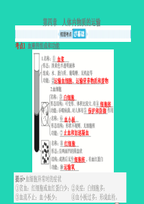 （聊城专版）山东省2019年中考生物总复习 第四单元 生物圈中的人 第四章 人体内物质的运输课件